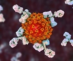 Antibody responses against seasonal common cold coronaviruses may protect against SARS-CoV-2