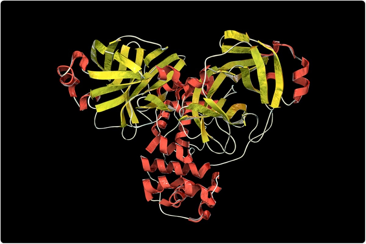 Molecule of SARS-CoV-2 coronavirus main protease, 3D illustration. Image Credit: Kateryna Kon / Shutterstock