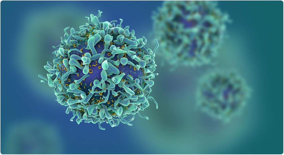 Study: Baseline T cell immune phenotypes predict virologic and disease control upon SARS-CoV infection. fusebulb / Shutterstock
