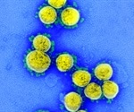 Influenza drug enisamium a potential COVID-19 treatment