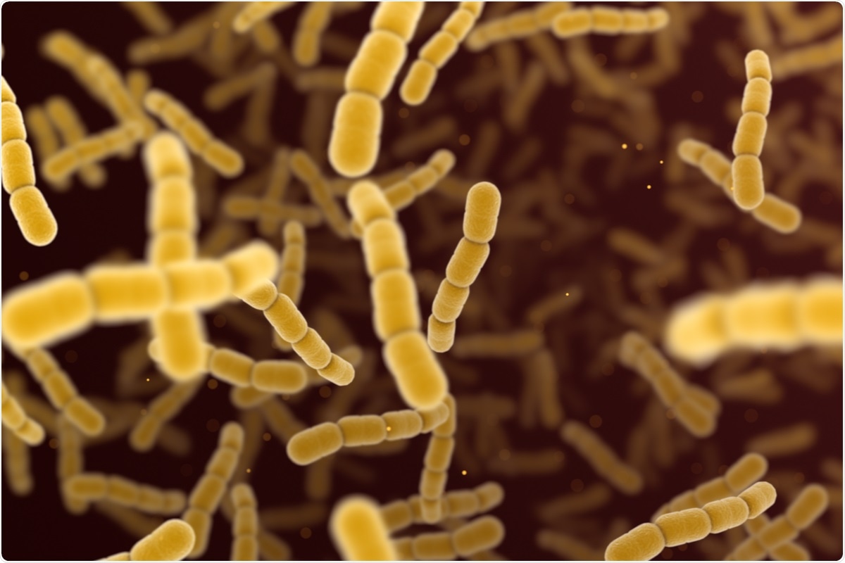 Study: Bacterial superinfection pneumonia in SARS-CoV-2 respiratory failure. Image Credit: Jezper / Shutterstock