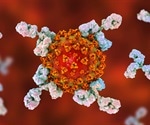 Link between fever, diarrhea, severe COVID-19, and persistent anti-SARS-CoV-2 antibodies