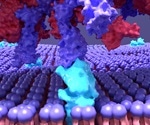 SARS-CoV-2 spike may impair antigen presentation by CD8 T cells