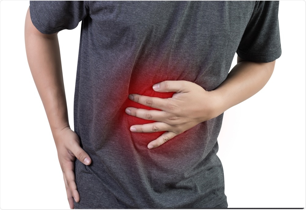 Study: Local immune response to food antigens drives meal-induced abdominal pain. Image Credit: one photo / Shutterstock