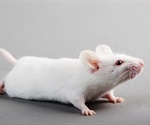 Can transgenic mice studies illuminate neurological complications associated with SARS-CoV-2 in humans?