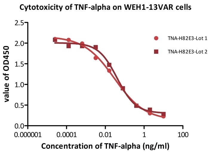 Recombinant biotinylated human TNF-alpha (Cat. No. TNA-H82E3) induces cytotoxicity effect on the WEH1-13VAR cells in the presence of the metabolic inhibitor actinomycin D. The EC50 for this effect is 0.029–0.052 μg/mL.