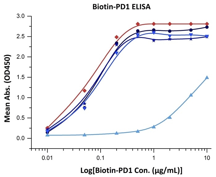 Binding activity of different forms of biotinylated PD1 evaluated in a functional ELISA against rhPD-L1 (Cat. No. PD1-H5258).