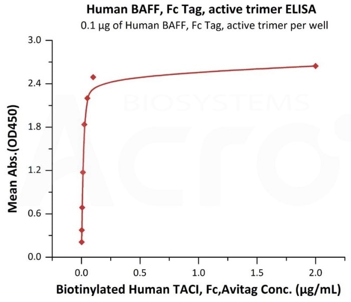 Immobilized Human BAFF, Fc Tag, active trimer (Cat. No. BAF-H5261) at 1 μg/mL (100 μL/well) can bind Biotinylated Human TACI, Fc, Avitag (Cat. No. TAI-H82F6) with a linear range of 0.002–0.05 μg/mL.