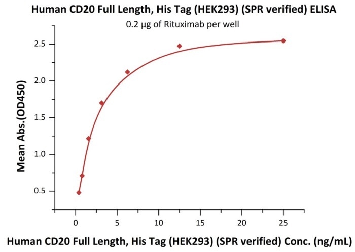 Immobilized RTX at 2 μg/mL (100 μL/well) can bind Human CD20 Full Length, His Tag, HEK293 (SPR verified) (Cat. No. CD0-H52H3) with a linear range of 0.4–3 ng/mL (in presence of DDM and CHS)