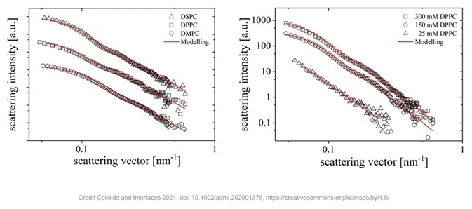 SAXS measurements of different liposomes consisting of phospholipids with different chain lengths (left) or prepared with different concentrations of DPPC in the stock suspension (right).