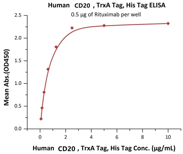 Immobilized RTX at 5 μg/mL (100 μL/well) can bind Human CD20, TrxA Tag, His Tag (E.coli) with a linear range of 78–2500 ng/mL.