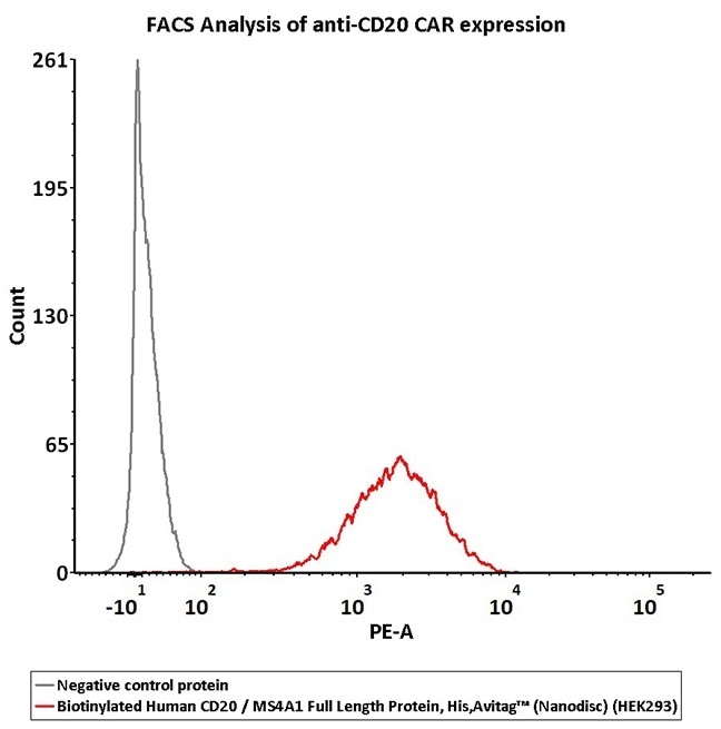 2e5 of CD20-CAR-293 cells transfected with anti-CD20-scFv were stained with 100 μL of 3 μg/mL of Biotinylated Human CD20 Full Length, His, Avitag (Cat. No. CD0-H82E3) and negative control protein respectively, washed and then followed by PE-SA and analyzed with FACS (QC tested).