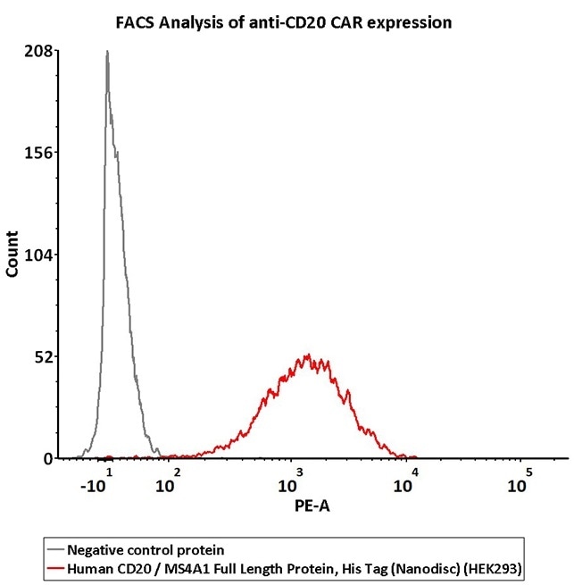 2e5 of CD20-CAR-293 cells transfected with anti-CD20-scFv were stained with 100 μL of 3 μg/mL of Human CD20/MS4A1 Full Length Protein, His Tag (Nanodisc) (HEK293) (Cat. No. CD0-H52H1) and negative control protein respectively, washed and then followed by PE anti-His antibody and analyzed with FACS (QC tested).