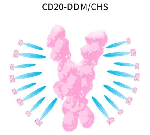 CD20-DDM/CHS.