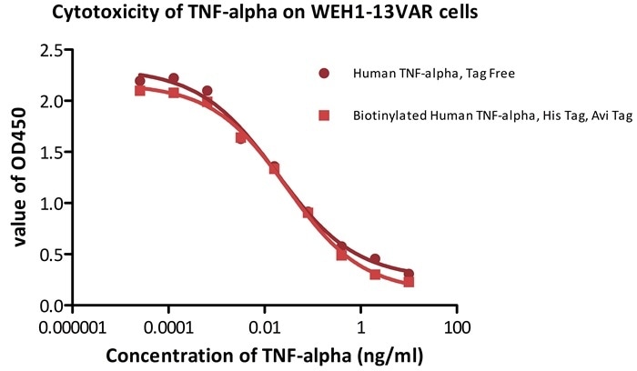 Recombinant human TNF-alpha (Cat. No. TNA-H82E3) induces cytotoxicity effect on the WEH1-13VAR cells in the presence of the metabolic inhibitor actinomycin D. The EC50 for this effect is 0.014–0.029 ng/mL. The result shows that the biotinylated human TNF-alpha is consistent with naked TNF-alpha in cytotoxicity assay.