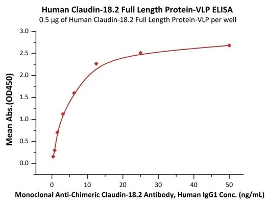 Immobilized Human Claudin-18.2 Full Length Protein-VLP (Cat. No. CL2-H5547) at 5 μg/mL (100 μL/well) can bind Monoclonal Anti-Chimeric Claudin-18.2 Antibody, Human IgG1 with a linear range of 0.8–3 ng/mL (QC tested).