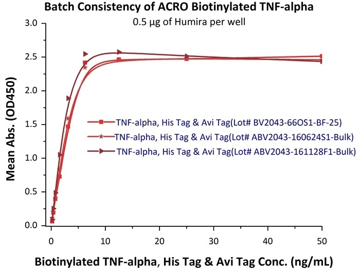 In the above ELISA analysis, three different lots of biotinylated hTNF-alpha (Cat. No. TNA-H82E3) were used to detect immobilized Adalimumab (0.5 μg/mL). The result showed that the batch variation among the tested samples is negligible.