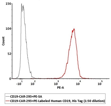1e6 of the anti-CD19 CAR-293 cells were stained with 100 μL of 1:50 dilution (2 μL stock solution in 100 μL FACS buffer) of PE-Labeled Human CD19 (20-291), His Tag (Cat. No. CD9-HP2H3). PE Streptavidin was used as negative control (QC tested).