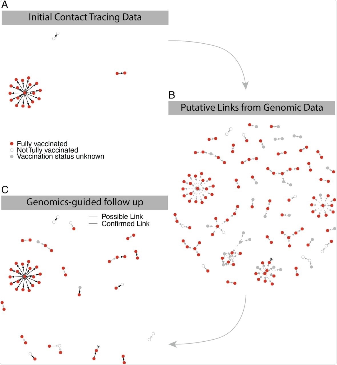 Identification of putative transmission events from vaccinated individuals. A. High-confidence transmission links from contact tracing investigation. B. Predicted transmission links based on genomic sequence, intrahost variants, and symptom onset date. C. Genomics-predicted transmission links corroborated by further epidemiological follow-up. Putative contacts are grouped into possible links (grey lines) and known links (black lines) to denote plausible vs. confirmed contacts between transmission pairs. A confirmed transmission pair that is part of a larger cluster of putative links, described in the text, is marked with an asterisk.
