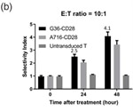 Chimeric antigen receptor cell therapy (CAR-T)