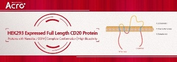 Full-length CD20 membrane proteins for research and development