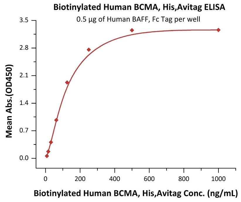 Immobilized Human BAFF, Fc Tag at 5 μg/mL (100 μL/well) can bind Biotinylated Human BCMA, His, Avitag (Cat. No. BCA-H82E4) with a linear range of 15–125 ng/mL.