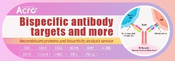 Targets for bispecific antibodies