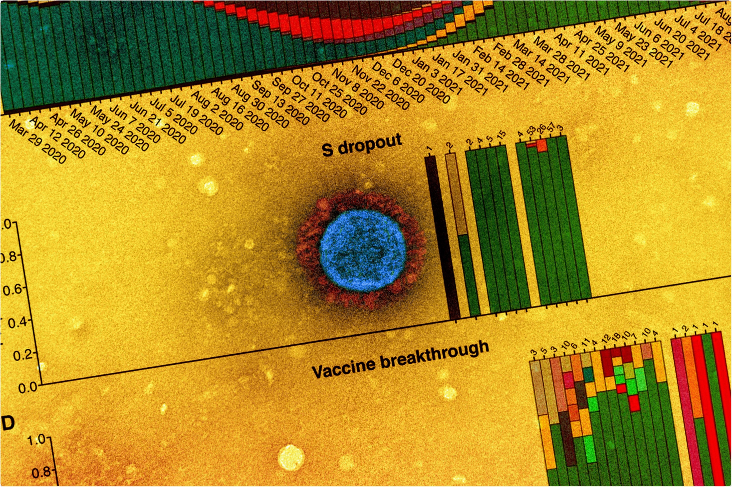 Estudo: As variações SARS-CoV-2 associaram com a descoberta vacinal no vale de Delaware com o verão 2021. Crédito de imagem: NIAID