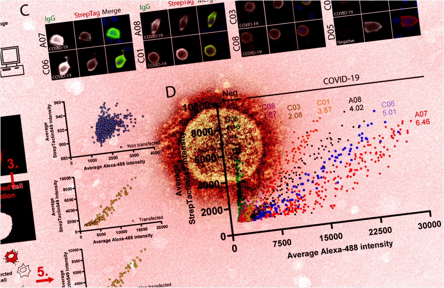 Estudo: Um índice alto microscopia-baseou a plataforma para detectar anticorpos às proteínas do nucleocapsid, do ponto e da membrana de SARS-CoV-2. Crédito de imagem: NIAID