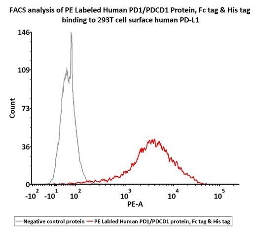 Flow Cytometry assay shows that PE-Labeled Human PD-1, Fc Tag, His Tag (recommended for neutralizing assay) (Cat. No. PD1-HP2F2) can bind to 293T cells overexpressing human PD-L1. 1 μL stock solution per million cells (QC tested).