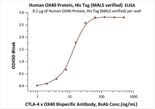 Targets for bispecific antibodies