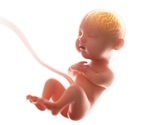 Prenatal maternal distress during COVID linked to alterations in infant brain development