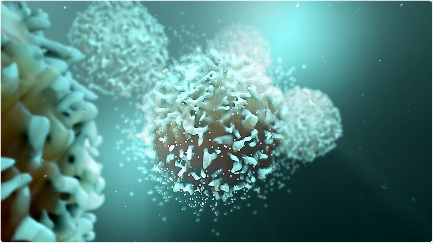 Studio: Gli epitopi a cellula T pubblici compartecipi fra le varianti SARS-CoV-2 sono presentati sugli alleli prevalenti della classe I di HLA. Credito di immagine: Design_Cells/Shutterstock