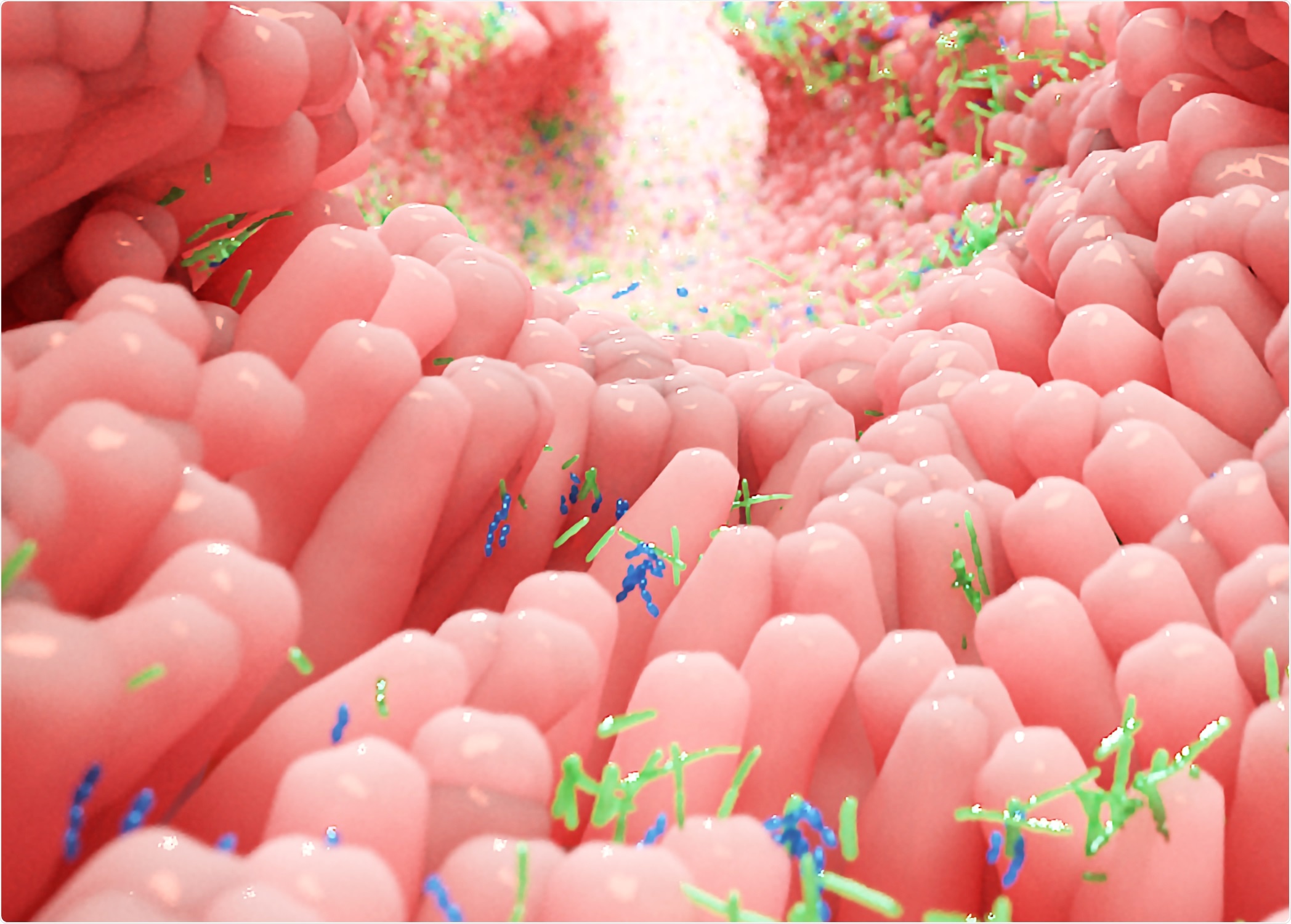 Study: Gut Bacterial Dysbiosis and Instability is Associated with the Onset of Complications and Mortality in COVID-19. Image Credit: Alpha Tauri 3D Graphics / Shutterstock