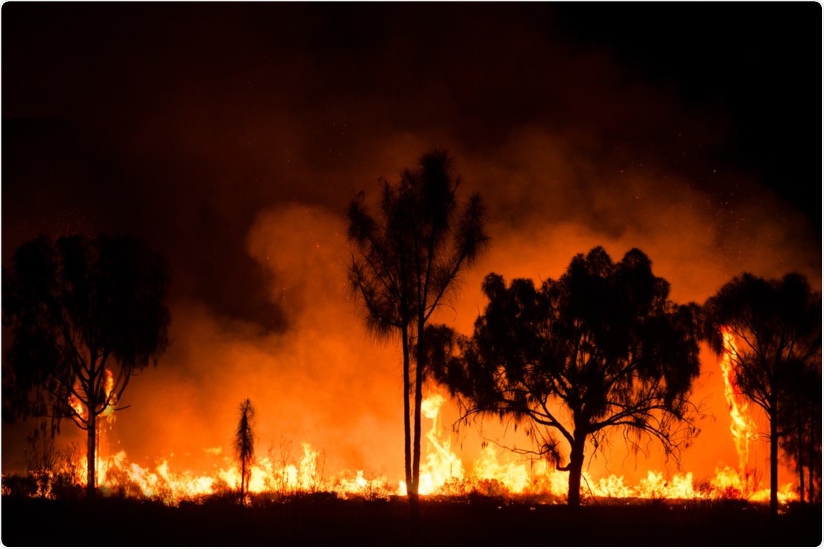 Study: The 2021 report of the MJA–Lancet Countdown on health and climate change: Australia increasingly out on a limb Image Credit: JP Phillippe/ Shutterstock