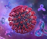 Anti-CD20 therapy patients can develop immune responses after SARS-CoV-2 vaccination