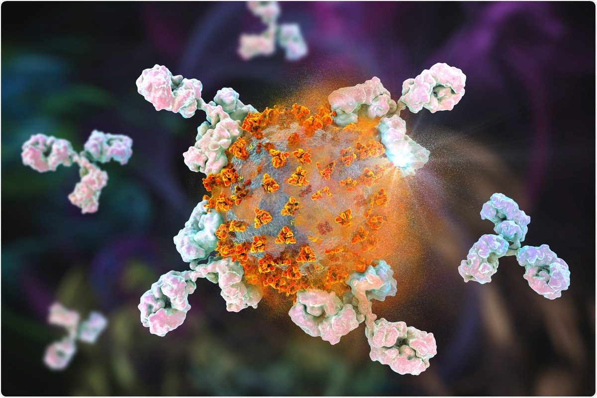 Study: Highly active engineered IgG3 antibodies against SARS-CoV-2. Image Credit: Kateryna Kon/ Shutterstock