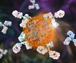 Study shows strong protective effect of IgG3 antibodies in SARS-CoV-2 infection