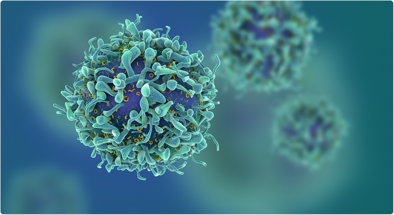 Study: mRNA vaccine-induced T cells respond identically to SARS-CoV-2 variants of concern but differ in longevity and homing properties depending on prior infection status. Image Credit: Fusebulb / Shutterstock