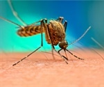 The Effect of Climate Change on Malaria
