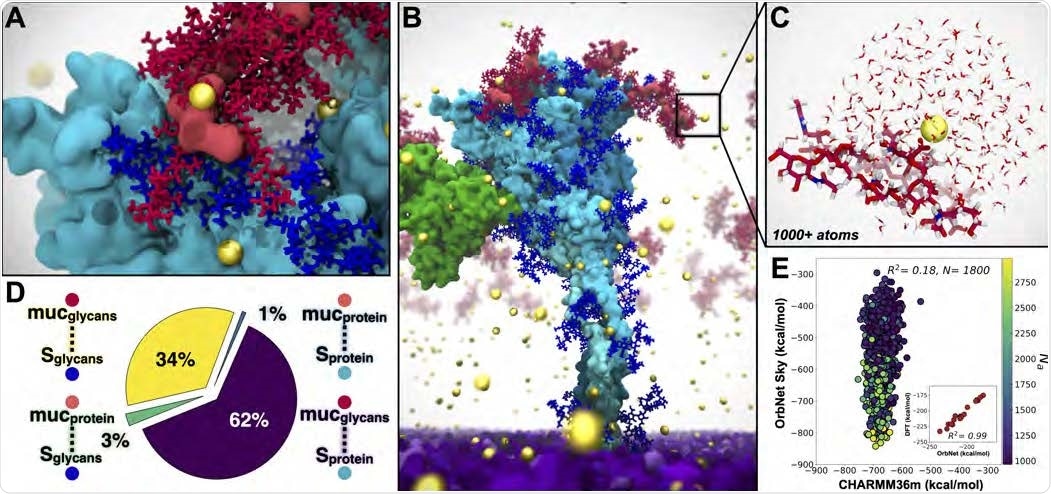 SMA system captured with multiscale modeling from classical MD to AI-enabled quantum mechanics. For all panels: S protein shown in cyan, S glycans in blue, m1/m2 shown in red, ALB in orange, Ca2+ in yellow spheres, viral membrane in purple. A) Interactions between mucins and S facilitated by glycans and Ca2+. B) Snapshot from SMA simulations. C) Example Ca2+ binding site from SMA simulations (1800 sites, each 1000+ atoms) used for AI-enabled quantum mechanical estimates from OrbNet Sky. D) Quantification of contacts between S and mucin from SMA simulations. E) OrbNet Sky energies vs CHARMM36m energies for each sub-selected system, colored by total number of atoms. Performance of OrbNet Sky vs. DFT in subplot (𝜔B97x-D3/def-TZVP,