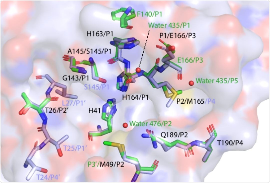Study: Structural and functional characterization of NEMO cleavage by SARS-CoV-2 3CLpro