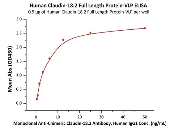 Immobilized Human Claudin-18.2 Full Length Protein-VLP (Cat. No. CL2-H5547) at 5 μg/mL (100 μL/well) can bind Monoclonal Anti-Chimeric Claudin-18.2 Antibody, Human IgG1 with a linear range of 0.8–3 ng/mL (QC tested).