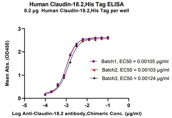 Human Claudin-18.2, His Tag (Cat. No. CL2-H5546) batch consistency (validated by ELISA) (CV < 10%).