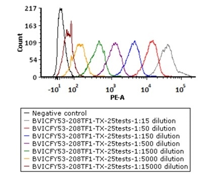 5e5 of Anti-CD19 CAR-293 cells were stained with a series of concentrations of PE-Labeled Monoclonal Anti FMC63 scFv Antibody, Mouse IgG1(Cat. No. FM3-HPY53), and negative control respectively. PE signal was used to evaluate the binding activity.