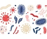 How Important are Microorganisms?