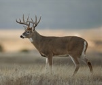 SARS-CoV-2 detected in white-tailed deer with possible zooanthroponotic spillover events