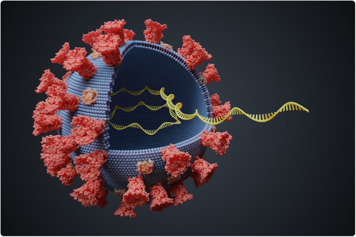 Study: CORSID enables de novo identification of transcription regulatory sequences and genes in coronaviruses. Image Credit: vchal/ Shutterstock