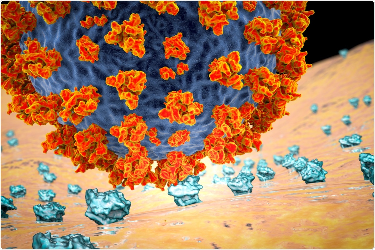 Estudo: Variações SARS-CoV-2, mutações de RBD, afinidade obrigatória, e escape do anticorpo. Crédito de imagem: Kateryna Kon/Shutterstock