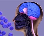 SARS-CoV-2 leaves long-term impact on olfactory neurocircuit